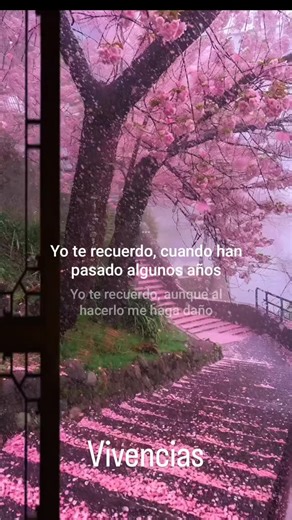 La canción "Yo te recuerdo" de Roberto Carlos, lanzada en 1976, es un tema cargado de nostalgia, ternura y melancolía que evoca el recuerdo de una persona amada de forma profunda y sincera, como si estuviera presente en los momentos cotidianos. #romanticas_inolvidables #BaladasDelRecuerdo #baladasinolvidables #paratiiiiiiiiiiiiiiiiiiiiiiiii #cancionesromanticas #vivencias #musiclover | Vivencias Amor