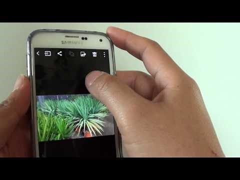 Samsung Galaxy S5: How to Rotate a Picture in Gallery App