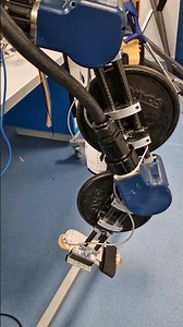 Experimental Validation of MPC–CFO Control for a Lower Limb Exoskeleton