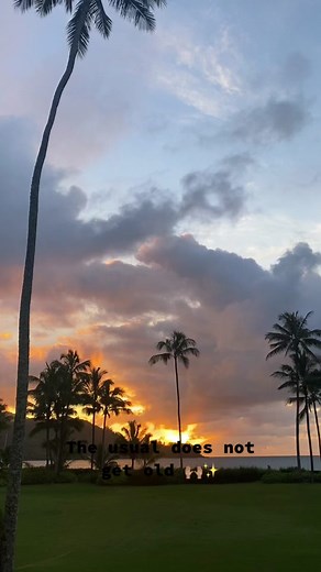 Bethany Hamilton on TikTok