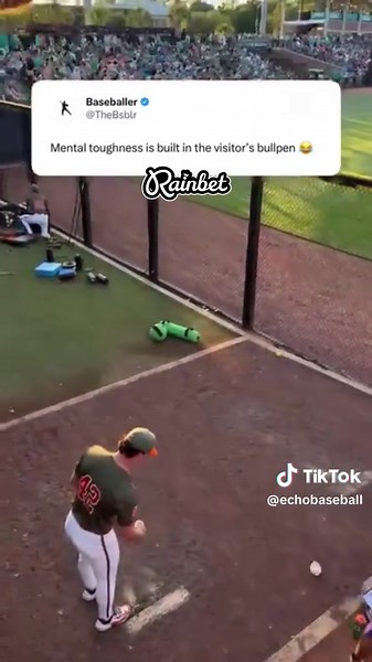 College Baseball Ejections: Umpire's Hilarious Moments