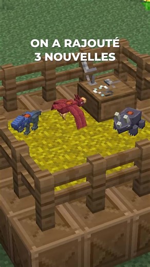 Découvrez les nouvelles montures sur Palladium Minecraft