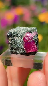 142K views · 2.8K reactions | Fascinating facts about rubies 邏 #crystals #gemstones #rubies #interestingfacts | Spirit Nectar | Facebook