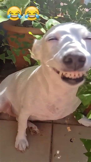 Die besten Fails der Woche 😭😂 2026