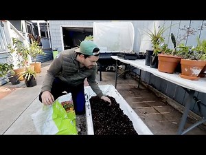 2 Easy Methods to Revitalize OLD Potting Soil