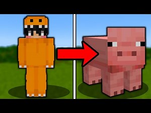 I Pranked My Friend With The Morph Mod!