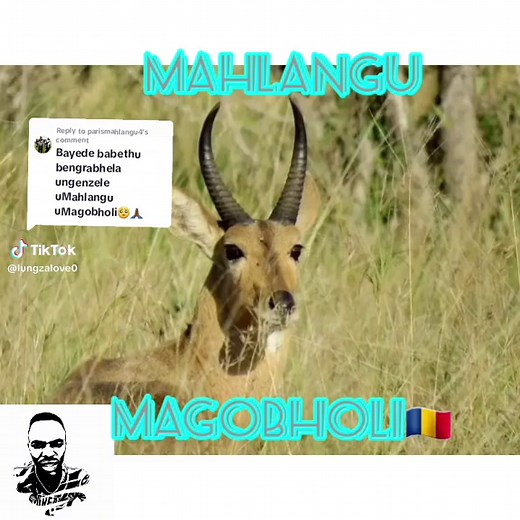 Exploring Mahlangu Clan Names and Izithakazelo