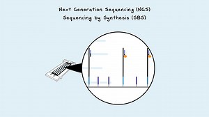 Next Generation Sequencing - A Step-By-Step Guide to DNA Sequencing.