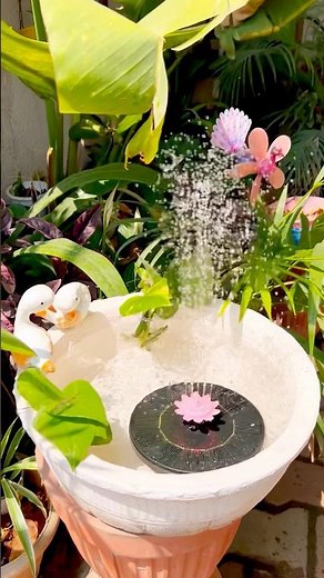 DIY solar fountain for your garden #fountain #solar #diy #garden #gardendecor #ytshorts #easy #decor