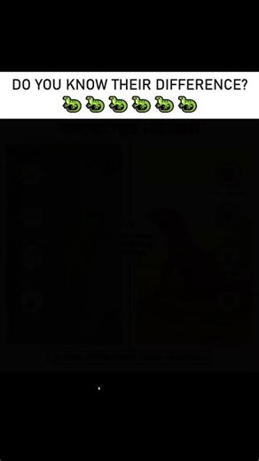 Gecko vs Lizard 🦎 Most People Don’t Know the Difference! 😳 #animalfacts #didyouknow