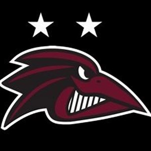 Franklin Pierce Men's Soccer Wyscout USA • Home