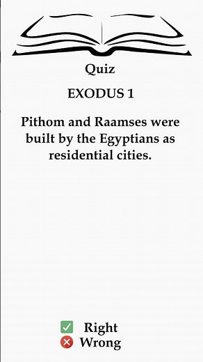 Pharaoh's Treasure Cities 🏛️ | Exodus Explained