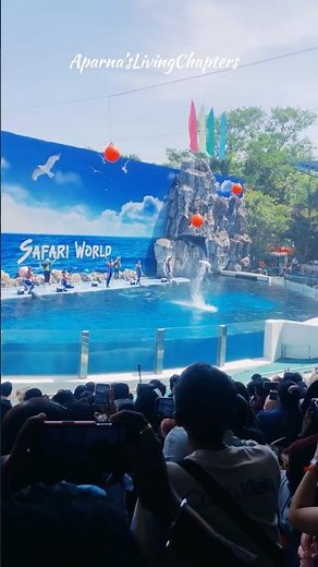 Amazing Dolphin Show 🐬 | Thailand Safari World Live highlight