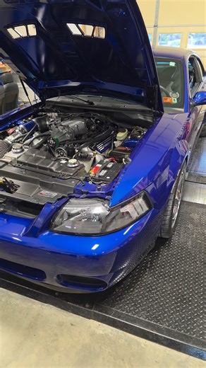 Its all about the final touches! Cobra Terminator 💪 #Cobra #Terminator #newedge #maintenanceiskey🔑 #makingautomotivegreatagainagain | Modern Masters