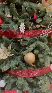 41K views · 4.3K reactions | Our tree topper flew away!  This great video is brought to you by @Great American Insurance Group | Cincinnati Zoo & Botanical Garden | Facebook