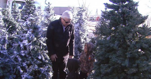 The magic of the Christmas Tree Project