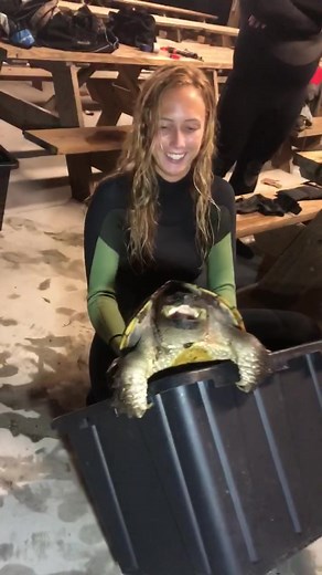 He won’t let go of the bucket 😂 who wants to tickle his chin? **turtle caught, biometrics done and released safely with permits* #fyp #scienceiscool