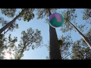 Mom's Choice Awards - See Us On Television