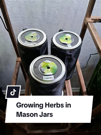 Growing Herbs in Mason Jars using the Krakty Method #hydroponicgardening #krakty