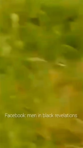 #ULTIMAHORA💥 ALIEN ESCAPA ATRAVESANDO EL SUELO Un increible video muestra como una entidad desconocida parecida a una araña gigante, escapa entrando al suelo y desapareciendo Algunos testigos dijeron era un alien gris con cuerpo de araña y otros que era un ser desconocido. Que opinas de esto? Has visto algo asi? Cuéntanos la historia!!💥✍️ | MEN IN BLACK Conspiracy