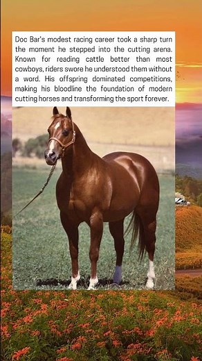 Doc Bar, The Legendary Sire