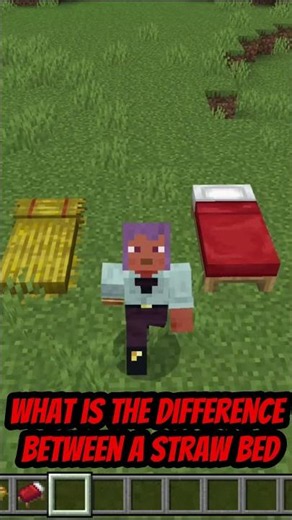 Minecraft Bed Comparison: Straw vs Regular Bed🤔 #minecraft #shorts #gaming