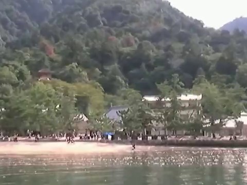 厳島神社を観光する時間帯でおすすめは？満潮と干潮をどちらも楽しむコツ | 俺のトラベル