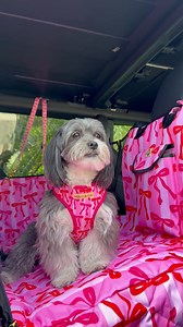 167K views · 330 reactions | You asked, we listened Coquette is...