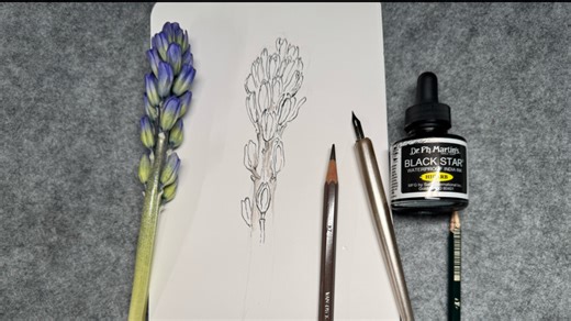 Observational Drawing