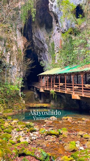 Inspired by Japan 🇯🇵 | Japan’s largest cave is located in Yamaguchi Prefecture, in the western part of the country 🤩 It’s Akiyoshidō, a fascinating place that’s... | Instagram