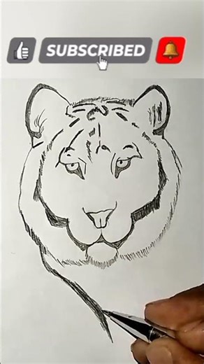 White Tiger Face Drawing #shorts #drawing #art #tiger