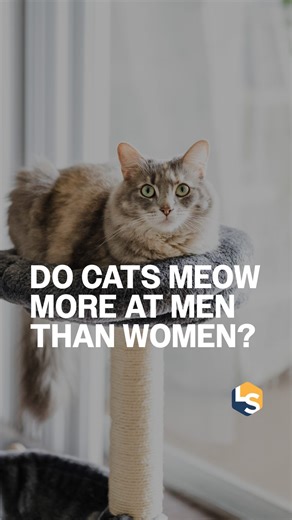 Cats: ‘Meow louder, he still isn’t listening’ 🎤🐈 A small study reveals that cats greet male owners more vocally than female ones. But the findings could be a result of cultural norms among the participants, rather than a universal cat behavior, scientists say. Full article link in bio 🔗 #catsofinstagram #cats #catbehavior #pets #animals | LiveScience
