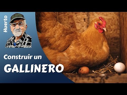 Aprende cómo construir un gallinero en el Huerto, paso a paso. ¡ Y CON AMIGOS!