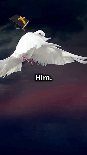 The Holy Spirit descended like a dove upon Jesus at His baptism—what does this mean? Discover the powerful significance of this moment and why it matters for us today. Repent and believe in Christ! | WORD