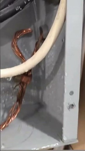 Water Leaking Into Electrical Panel #electrical #danger #diy