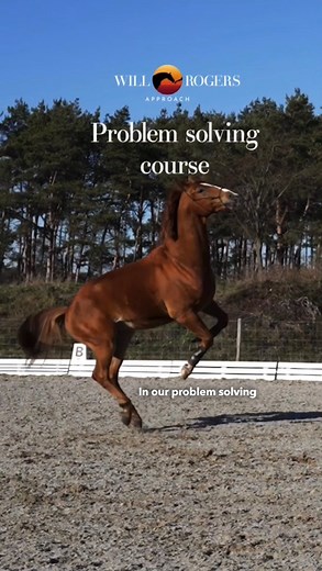 8.1K views · 332 reactions | In our online Problem solving course I...