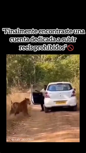 {Onlly Accident videos}🚫 | Every twist, every turn—don’t blink. Real, unfiltered accident moments from the world’s craziest roads only on @daily_accident 🚗💥Stay... | Instagram