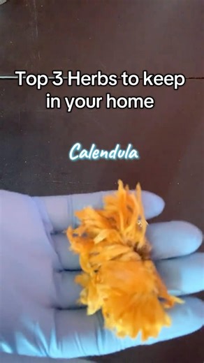 *I know how to pronounce calendula, idk why this pronunciation sliped out 😂