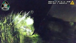 On 7/14/20 at approximately 4AM, Pasco Sheriff Deputy McCabe, K9 Maus and Deputy Ashley tracked and located a suspect of an aggravated domestic assault who was reportedly armed with a machete. The suspect was located hiding within a thick marsh in a swamp. | Pasco News