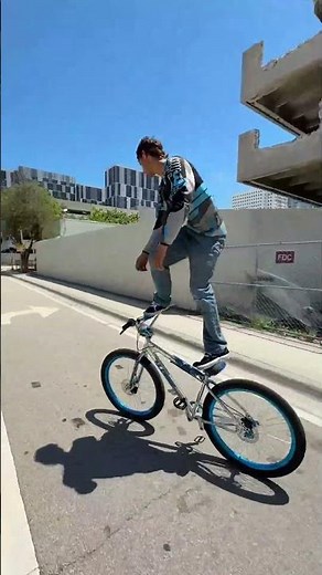 Miami x SE Bikes PK Ripper 27.5"
