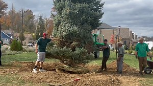 14K views · 229 reactions | We're very excited about the latest addition to Five Points Landing Park. Join us at 7pm on November 29 as we light up this tree for the holidays. | City of Milford, OH | Facebook