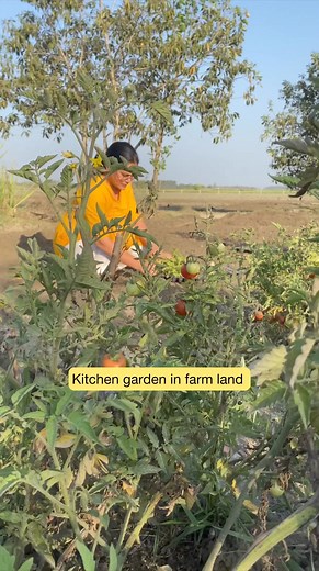 2.5M views · 10K reactions | Kitchen garden in farm land #organicgardening | Mud and Colors | Facebook