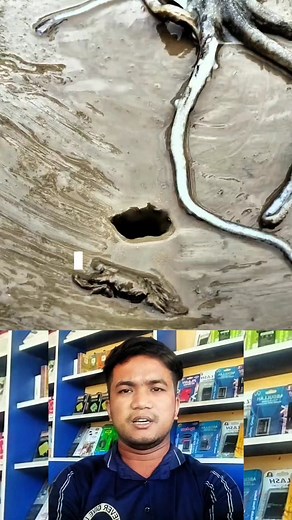 চোখের সামনে দেখুন অবিশ্বাস্য জাদু! 🤯 এত বড় অক্টোপাসটা এইটুকু গর্তে কীভাবে ঢুকলো? #reels #amazing #octopus #nature #viralvideo #facebookreels #seamagic | Joy Viral Reaction