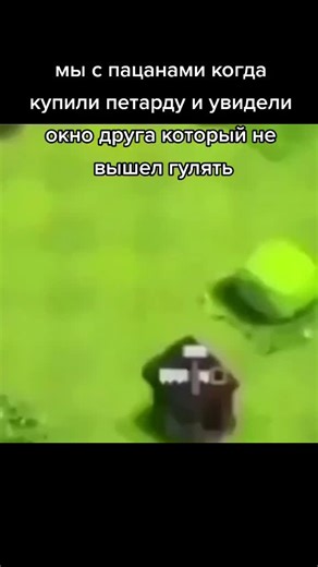 Animated Blue Winged Creatures in Fantasy Scenes