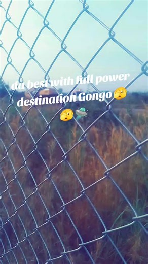 Oparetorznation ug💯🇺🇬 (@operatorznation)’s videos with Empire State Of Mind - JAY-Z