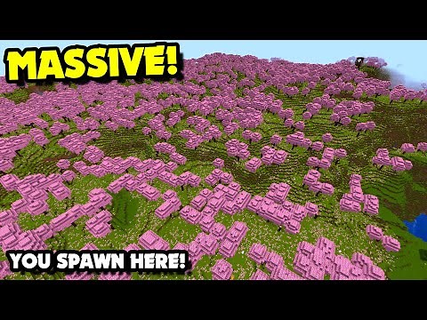 You SPAWN in This MASSIVE CHERRY BLOSSOM Biome in Minecraft 1.20! 1000+ Wide Cherry Blossom Seed