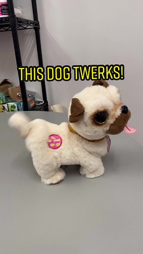 Surprising Dog Twerking Moment