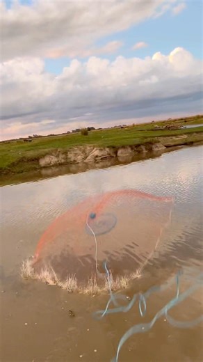 Cómo usar una atarraya fácil y rápido #fishing #pesca #pescaria