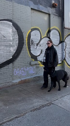 Train Your German Shepherd for Agility with Ava Brego Talia