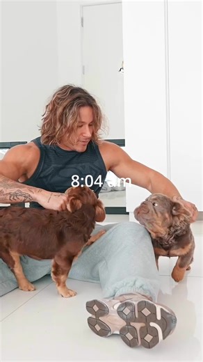 Arm day workout routine of a 25 year old entrepreneur #routine #entrepreneur